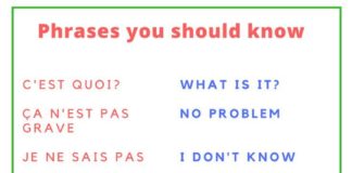 Educational infographic : 50 Common French Phrases Every French Learner Should Know
