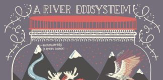 Educational infographic : A River Ecosystem: Terrarium Art Print