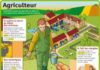 Educational infographic : Agriculteur – Le Petit Quotidien, le seul site d'information quotidienne pou…