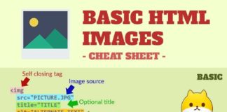 Educational infographic : Basic HTML Image
