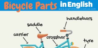 Educational infographic : Bicycle parts vocabulary in English