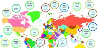 Educational infographic : Check out Oxford Words’ friend map to explore the different words for ‘frien…