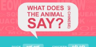 Educational infographic : Chinese animal onomatopoeia