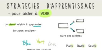 Educational infographic : Comment apprendre ? -> visuel auditif kinesthésique + stratégies d’apprentissage – ⇥ Aurelia Visuels ⇤