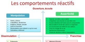 Educational infographic : Comment faire une bonne impression grâce à votre non verbal
