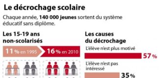 Educational infographic : Comprendre des tableaux et des statistiques en français – Avancé – Compréhens…