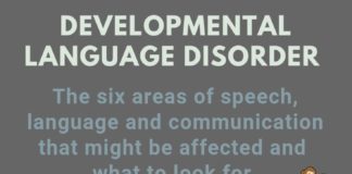 Educational infographic : Developmental Language Disorder – what areas might be affected? Many but not all…