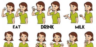 Educational infographic : Does your baby know what are you saying? Try those baby sign language, let us kn…