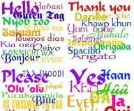 Educational infographic : Educational infographic : 50 Things You Probably Didn’t Know About Languages