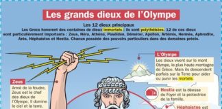Educational infographic : Educational infographic : CULTURE – Les grands dieux de l’Olympe…