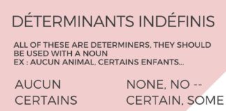 Educational infographic : Educational infographic : Déterminants indéfinis