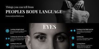 Educational infographic : Educational infographic : Educational infographic : Body language infographic