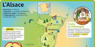 Educational infographic : Educational infographic : Educational infographic : L’Alsace…