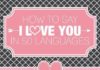 Educational infographic : Educational infographic : Express Love in 50 Different Languages: INFOGRAPHIC