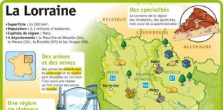 Educational infographic : Educational infographic : Fiche exposés : La Lorraine…