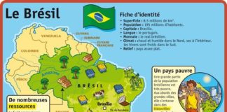 Educational infographic : Educational infographic : Fiche exposés : Le Brésil…