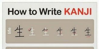 Educational infographic : Educational infographic : Japanese