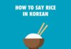 Educational infographic : Educational infographic : Korean Language Infographics
