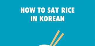 Educational infographic : Educational infographic : Korean Language Infographics