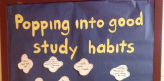 Educational infographic : Educational infographic : New Year, Clean Slate!