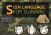 Educational infographic : Educational infographic : Signal Language Infographic…. *** Find out more at the image link #signlanguag…