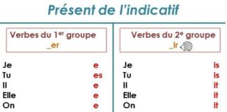 Educational infographic : Educational infographic : Table