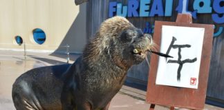 Educational infographic : Educational infographic : The 6 Best Apps For Learning A New Language