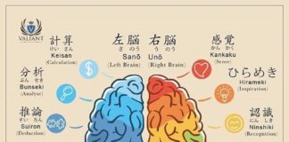 Educational infographic : Educational infographic : The brain and its divisions. – Japan, Japanese words, vocabulary, learning dif