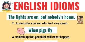 Educational infographic : Educational infographic : Top 20 Funny Idioms in English You Might Not Know! – ESL Forums