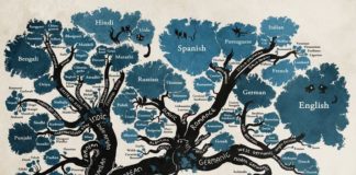 Educational infographic : Educational infographic : World’s languages infographic. Source:@pascalguyon Twitter