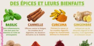 Educational infographic : Educational infographic & data visualisation Quelques épices et leurs différents bienfaits. Est-ce que vous en utilisez souvent d… | Infographic