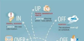 Educational infographic : Educational infographic : english