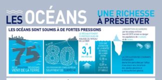 Educational infographic : El Conde. fr: Journée Mondiale de l'Océan