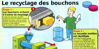 Educational infographic : El Conde. fr: Le recyclage des bouchons au collège