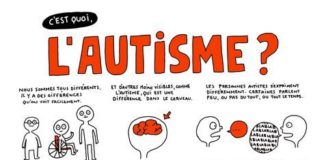 Educational infographic : Elise Gravel | auteure – illustratrice