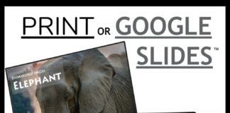 Educational infographic : Endangered animals activities