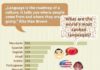 Educational infographic : Facts from the world of languages
