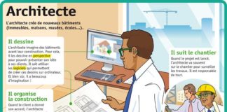 Educational infographic : Fiche exposés : Architecte