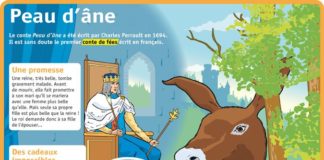 Educational infographic : Fiche exposés : Peau d’âne