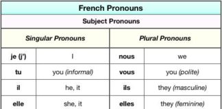 Educational infographic : French Pronouns