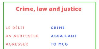 Educational infographic : French vocabulary: Crime, Law and Justice