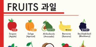 Educational infographic : Fruit Coréen