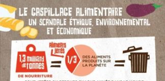 Educational infographic : Gaspillage alimentaire : définition, enjeux et chiffres | France Nature Environ…