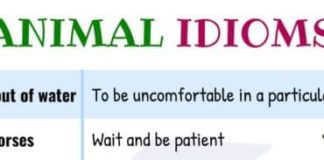 Educational infographic : Heart Idioms | 55+ Important Idioms about Heart for ESL Students – English Study…