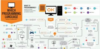 Educational infographic : Infographic – Which Programming Language Should I Learn First?