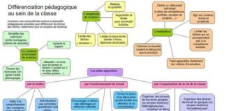 Educational infographic : La différenciation pédagogique en carte mentale