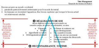 Educational infographic : La pyramide des besoins de Maslow – Psychologue du Travail