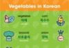 Educational infographic : Learn Korean Fast with Infographics – KoreanClass101.com