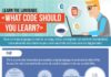 Educational infographic : Learn Which Programming Language to Choose With This Infographic