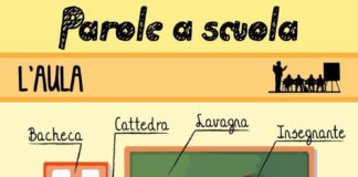 Educational infographic : Learn italian words: in the classroom!
